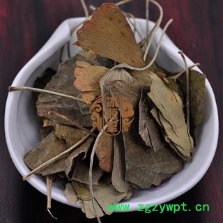 银杏叶 统货 产地 江苏省图4