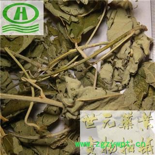 世元药业 白背叶 正品(非紫珠叶冒充)白鹤叶 白面风 药店诊所专供图2