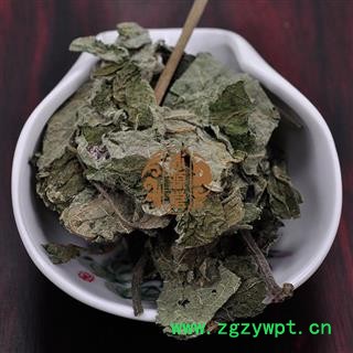 楮桃叶 楮叶 统 产地 山西省图3