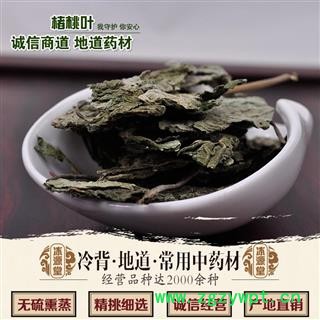 楮桃叶 楮叶 统 产地 山西省图2