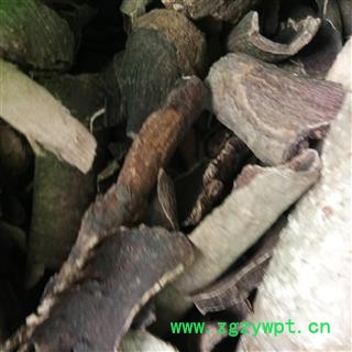 救必应 薄皮救必应 产地 广西壮族自治区图3