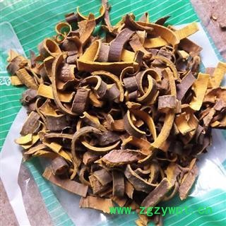 黄柏 选 黄柏 产地 四川省图2