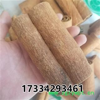肉桂 去皮肉桂紫油桂 新货 纯干 香味十足 产地 广西壮族自治区图3