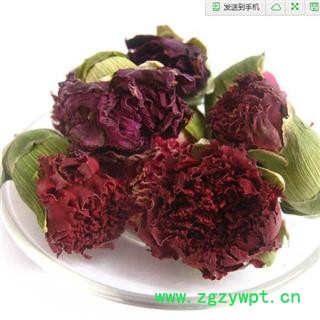 康乃馨 1000克图3