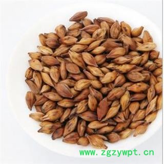 大麦茶 1000克图2