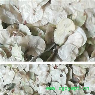 瑞森药材行榆钱 榆实 榆子 榆仁 榆荚仁图2