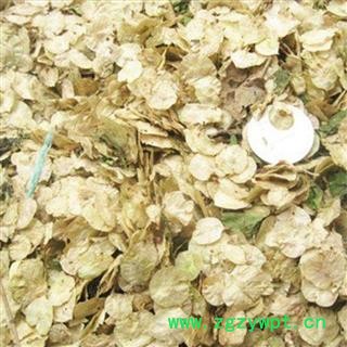 瑞森药材行榆钱 榆实 榆子 榆仁 榆荚仁