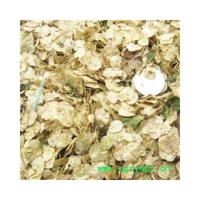 瑞森药材行榆钱 榆实 榆子 榆仁 榆荚仁