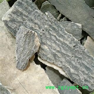 椿皮 椿树皮 统货 产地 河北省图2