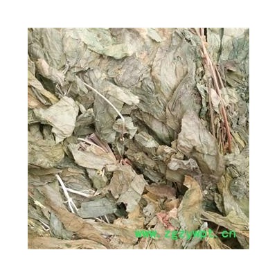 人参叶 正品小叶人参叶 统货 产地 吉林省