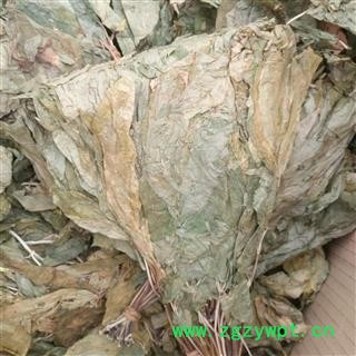 人参叶 正品小叶人参叶 统货 产地 吉林省图2