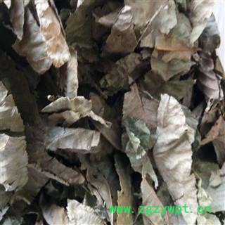 青钱柳叶  摇钱树 麻柳 胡桃科  全叶 产地 湖北省图2