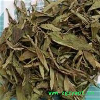 瑞森药材行甜叶菊今年新货颜色绿图2