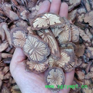 广西壮乡中草药 野生 红藤 大血藤 槟榔钻 产地 广西柳州图3