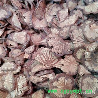 广西壮乡中草药 野生 红藤 大血藤 槟榔钻 产地 广西柳州图2