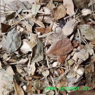 瑞森药材行茵芋 卑山共、莞草、卑共、茵蓣、因预图2