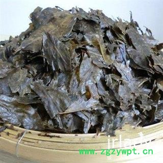 毛冬青叶 毛冬青茶   统 产地 云南省图3