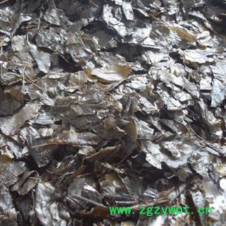 毛冬青叶 毛冬青茶   统 产地 云南省图2