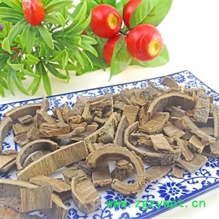 海桐皮 中药材 钉桐皮 鼓桐皮 丁皮 刺通图2