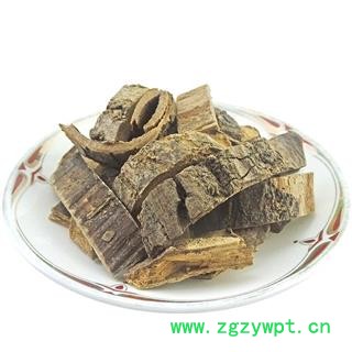 海桐皮 中药材 钉桐皮 鼓桐皮 丁皮 刺通图4