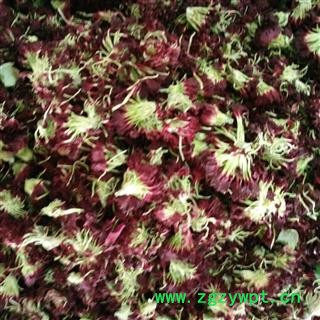 康乃馨 康仙花 百花茶 花茶选货 产地 江苏省图2