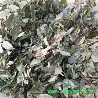 淫羊藿 淫羊藿 产地 辽宁省 凯捷中药图3