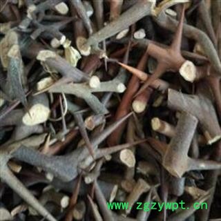 皂角刺 皂角刺老刺统片 产地 山东省图2