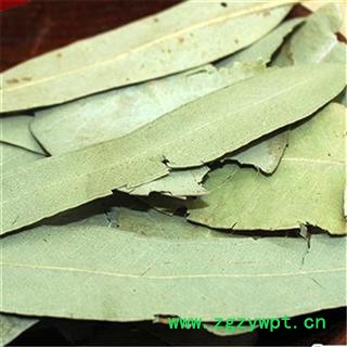 芝春堂冷背奇中药材批发零售无硫正品桉叶桉树叶支持验货图4