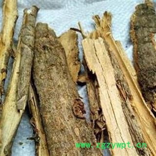 圣草康园鸭脚木皮  西加皮 鸭脚皮 鹅掌柴皮图2