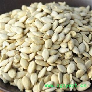 圣草康园白杨皮 新货 杨白皮 杨树皮 白杨树皮另有桃花冬瓜子图4