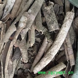 吉康药业救必应薄皮救必应  广西壮族自治区图2