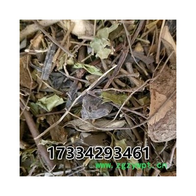 中药材跳八丈 藤子杜仲 银丝杜仲 软皮树 橡胶藤 臭匙羹藤