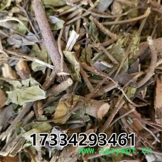 中药材跳八丈 藤子杜仲 银丝杜仲 软皮树 橡胶藤 臭匙羹藤图2