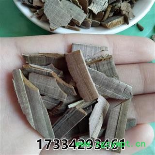 中药材鬼箭羽 鬼箭羽 鬼见羽卫矛 六月凌 四面戟图2