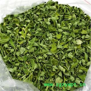 辣木叶 辣木叶 统货 产地 海外 买好药找娟子图2