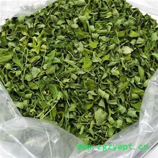 辣木叶 辣木叶 统货 产地 海外 买好药找娟子图3