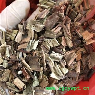 石韦 大叶石韦 石伟 产地 云南省 买好药找娟子图3