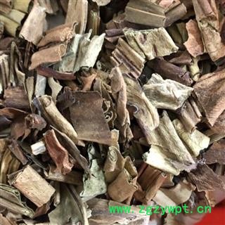 石韦 大叶石韦 石伟 产地 云南省 买好药找娟子图4