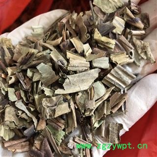 石韦 大叶石韦 石伟 产地 云南省 买好药找娟子图2