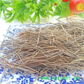 松针 中药材松针   马尾松针干松针 松针叶图3