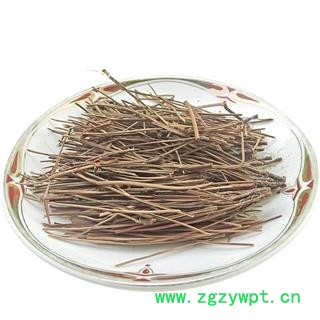 松针 中药材松针   马尾松针干松针 松针叶图4