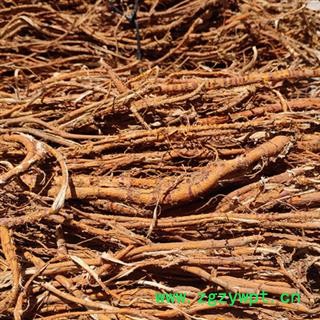 新辉药业正品中药材桑白皮  桑皮图2