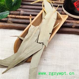 桉树叶 干桉树叶蜜袋鼯图2