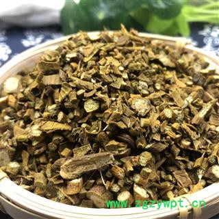 槲寄生 桑寄生 统货 产地 辽宁省 凯捷中药图2