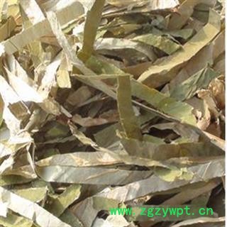 荷叶 荷叶长丝 产地 山东省图2