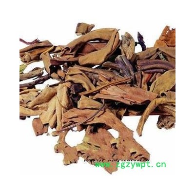 石韦 石韦全颗  大叶石韦 产地 湖北省