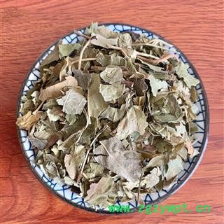 山楂叶 山楂叶干 山楂叶子 山楂树叶中药材图2