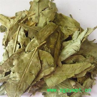 圣草康园中药材 桔叶 橘子叶 橘叶 芦桔叶、桔子叶图2