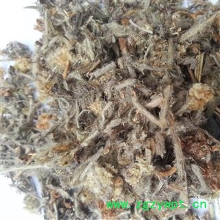 圣草康园 阴行草 阴行草 别名 金钟茵陈 土茵陈 芝麻蒿图2