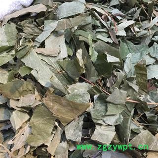 圣草康园东北淫羊藿 今年新货品质好图2